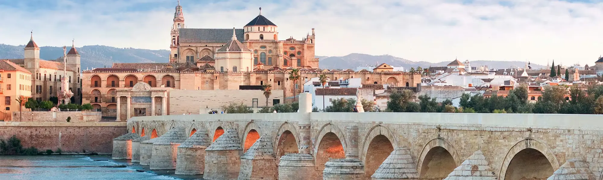 Instantánea de la ciudad de Córdoba con el puente en primer plano. Compra maquinaria de limpieza industrial Bhior.